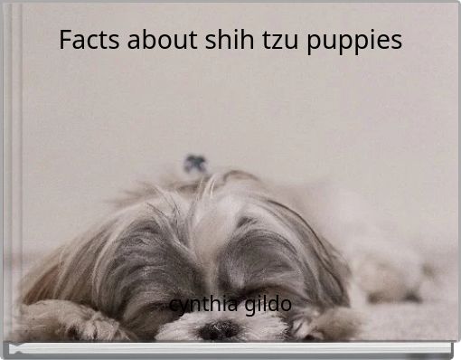 Front cover of 'Facts about shih tzu puppies' 