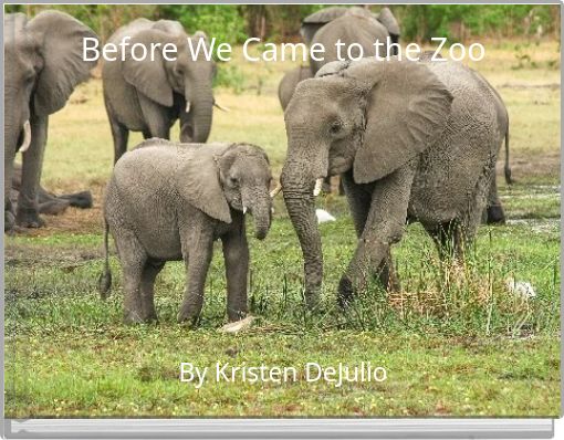 Front cover of 'Before We Came to the Zoo' 