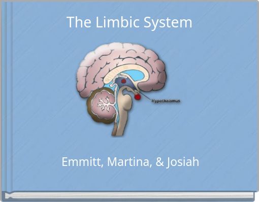 The Limbic System