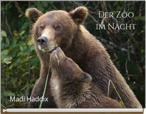 Front cover of 'Der Zoo im Nacht' 