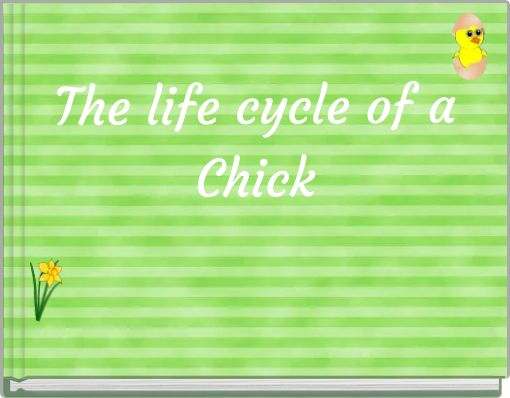 The life cycle of a Chick