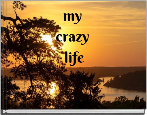 Front cover of 'my crazy life' 