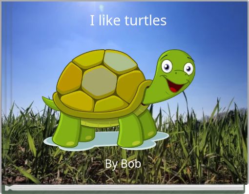 Front cover of 'I like turtles' 