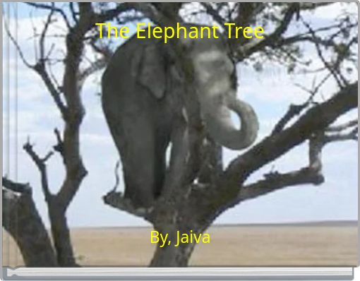The Elephant Tree