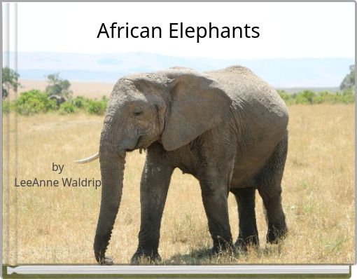 African Elephants