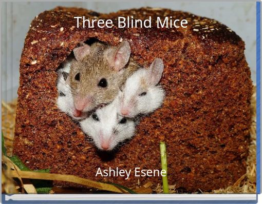 Front cover of 'Three Blind Mice' 