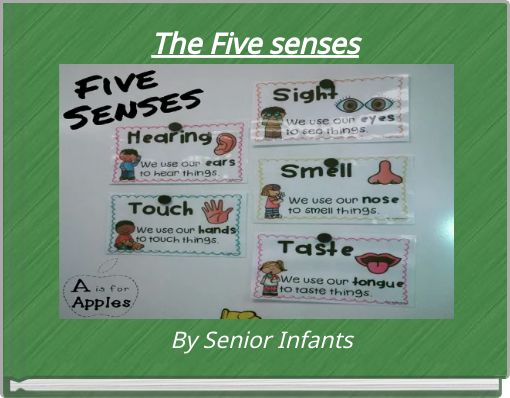 The Five senses