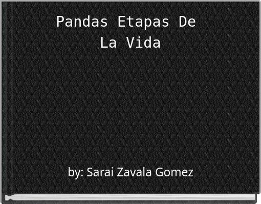 Pandas Etapas De La Vida