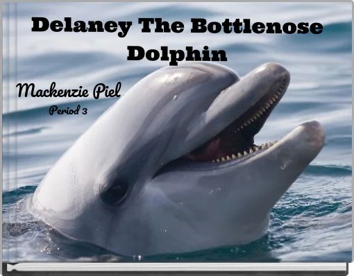 Delaney The Bottlenose Dolphin