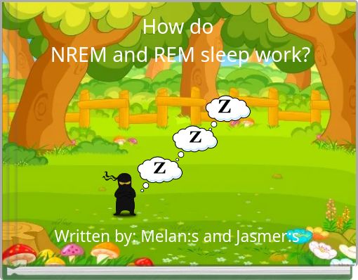 How do NREM and REM sleep work?