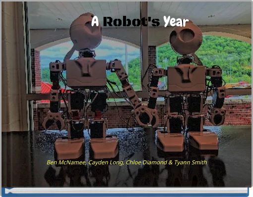 A Robot's Year