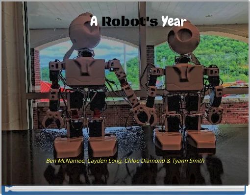 A Robot's Year