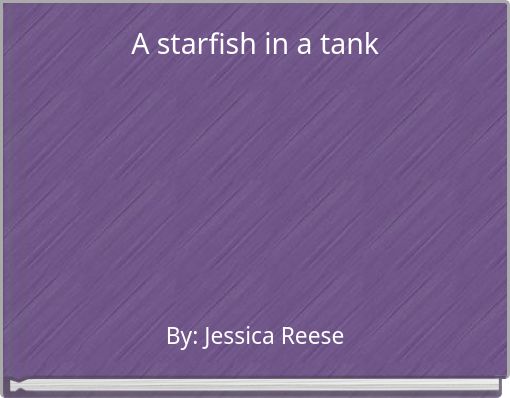 A starfish in a tank