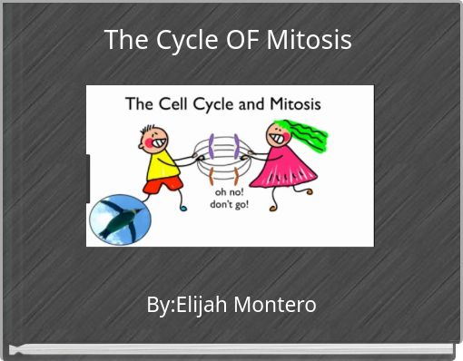 The Cycle OF Mitosis