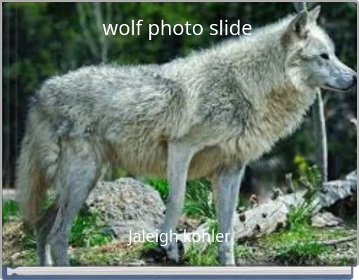 wolf photo slide