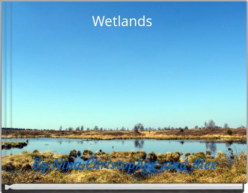 Front cover of 'Wetlands' 