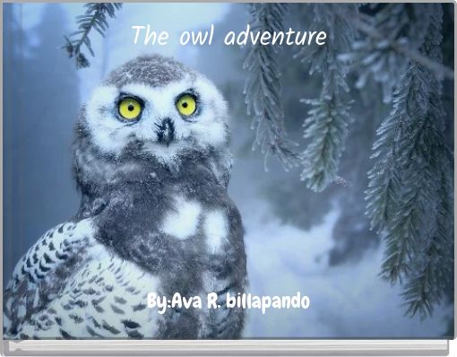 The owl adventure