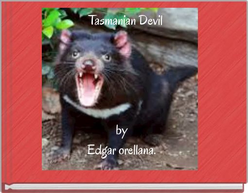 Tasmanian Devil