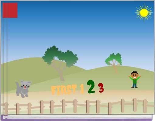 Book Cover for: FIRST 1 2 3