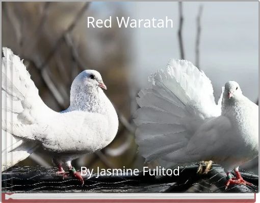 Red Waratah