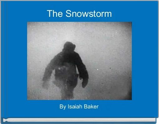 Front cover of 'The Snowstorm' 