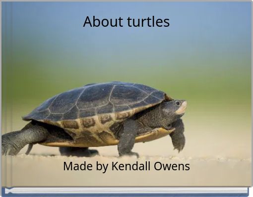 About turtles