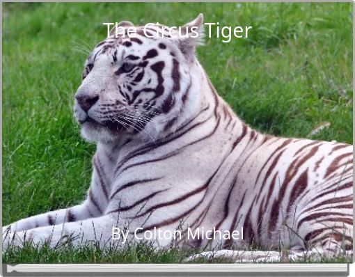 The Circus Tiger