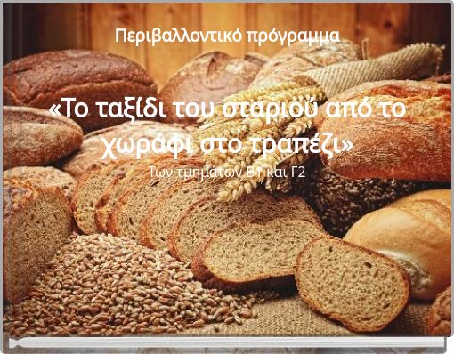 &Pi;&epsilon;&rho;&iota;&beta;&alpha;&lambda;&lambda;&omicron;&nu;&tau;&iota;&kappa;ό &pi;&rho;ό&gamma;&rho;&alpha;&mu;&mu;&alpha;