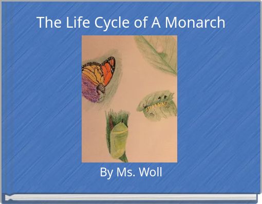 The Life Cycle of A Monarch