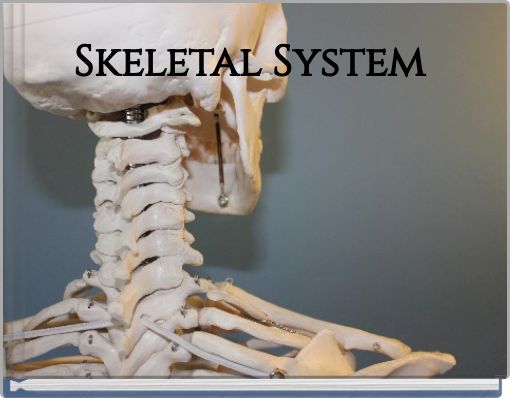 Skeletal System