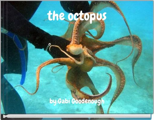 the octopus