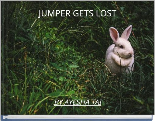 JUMPER GETS LOST