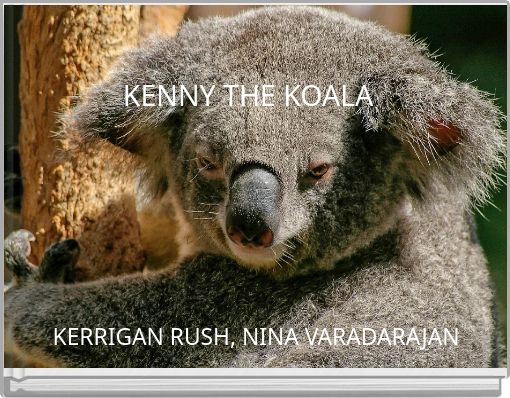 KENNY THE KOALA