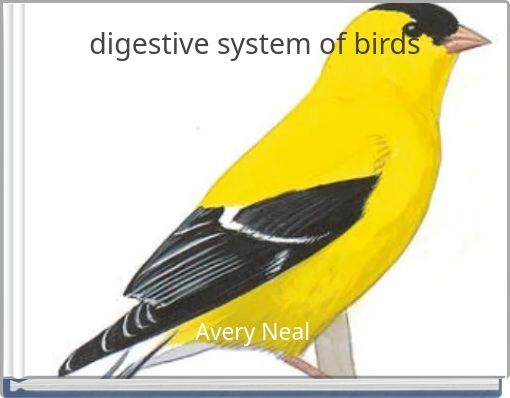 digestive system of birds