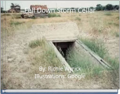 Front cover of 'Fell Down Storm Cellar' 