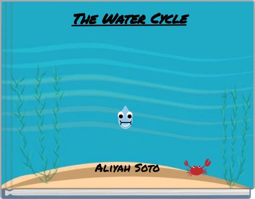 The Water Cycle