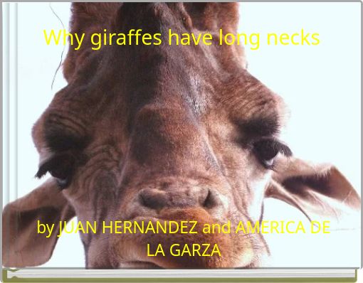 Why giraffes have long necks