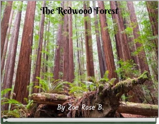 The Redwood Forest