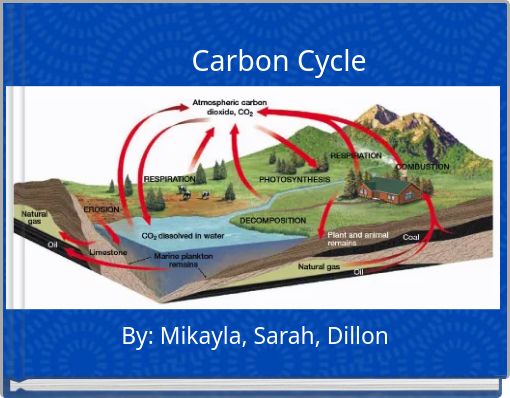 Carbon Cycle