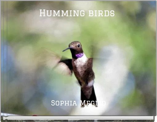 Humming birds