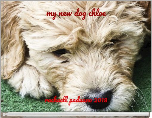 my new dog chloe
