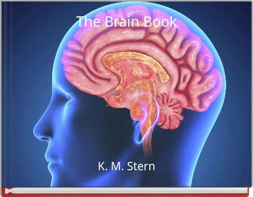 Front cover of 'The Brain Book' 