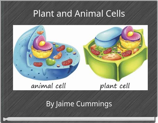 Plant and Animal Cells