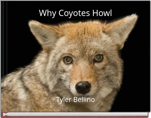 Why Coyotes Howl