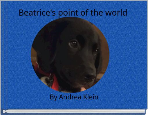 Front cover of 'Beatrice's point of the world' 
