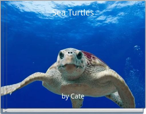 Book Cover for: Sea Turtles