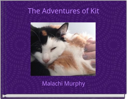 Front cover of 'The Adventures of Kit' 