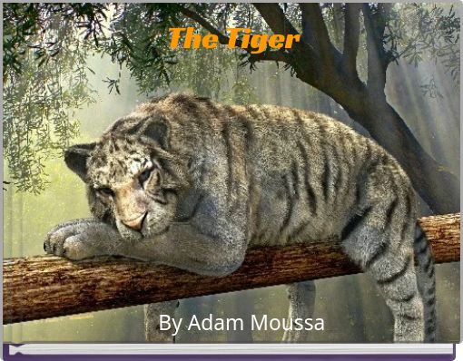 Front cover of 'The Tiger' 