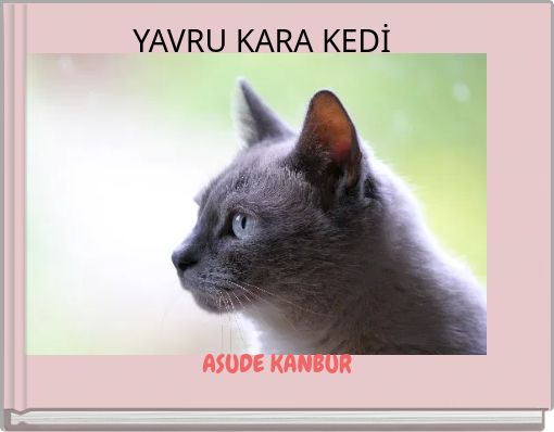 YAVRU KARA KEDİ