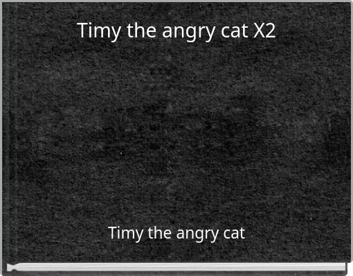 Timy the angry cat X2